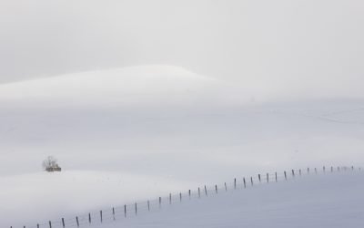 EXPOSITION // « Derniers burons ? Dernières neiges? Poésie hivernale «